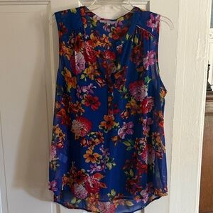 Daniel Rainn Floral Sleeveless Blouse - Blue and Multicolor